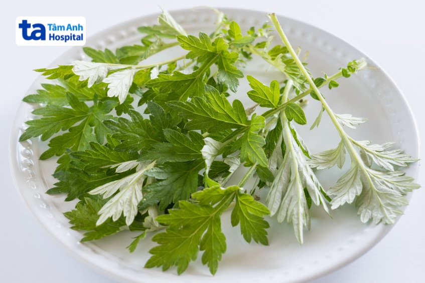 Ngải cứu tươi dùng làm thực phẩm trong thai kỳ.