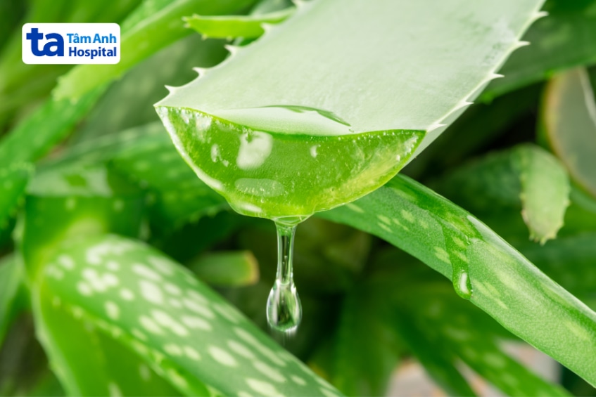 Nha đam chứa anthraquinon có thể ảnh hưởng đến thai kỳ.