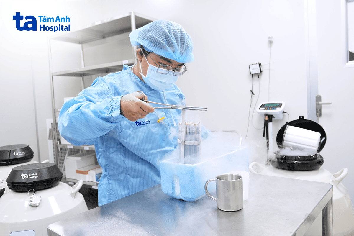 phôi thai được trữ đông trong môi trường nitơ lỏng