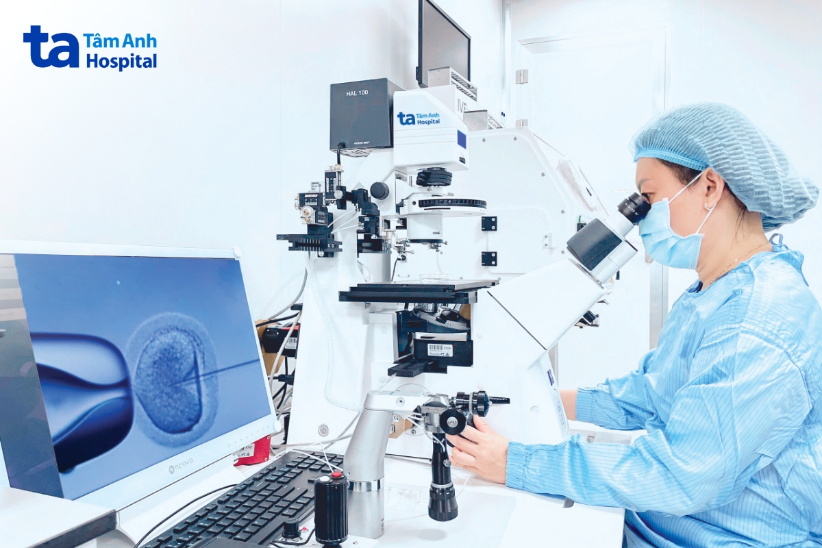 ths nguyễn ngọc quỳnh sử dụng kính hiển vi đảo ngược