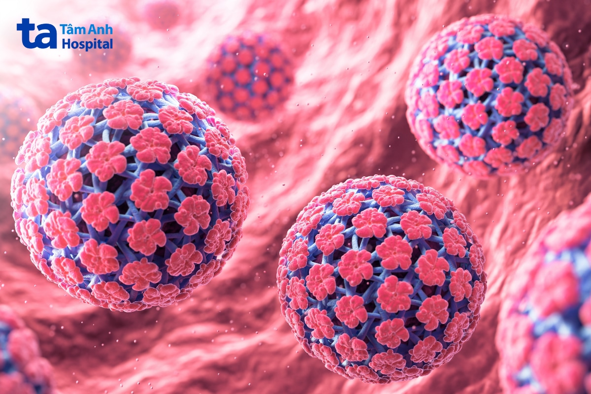 Virus HPV 18 thuộc nhóm HPV nguy cơ cao.