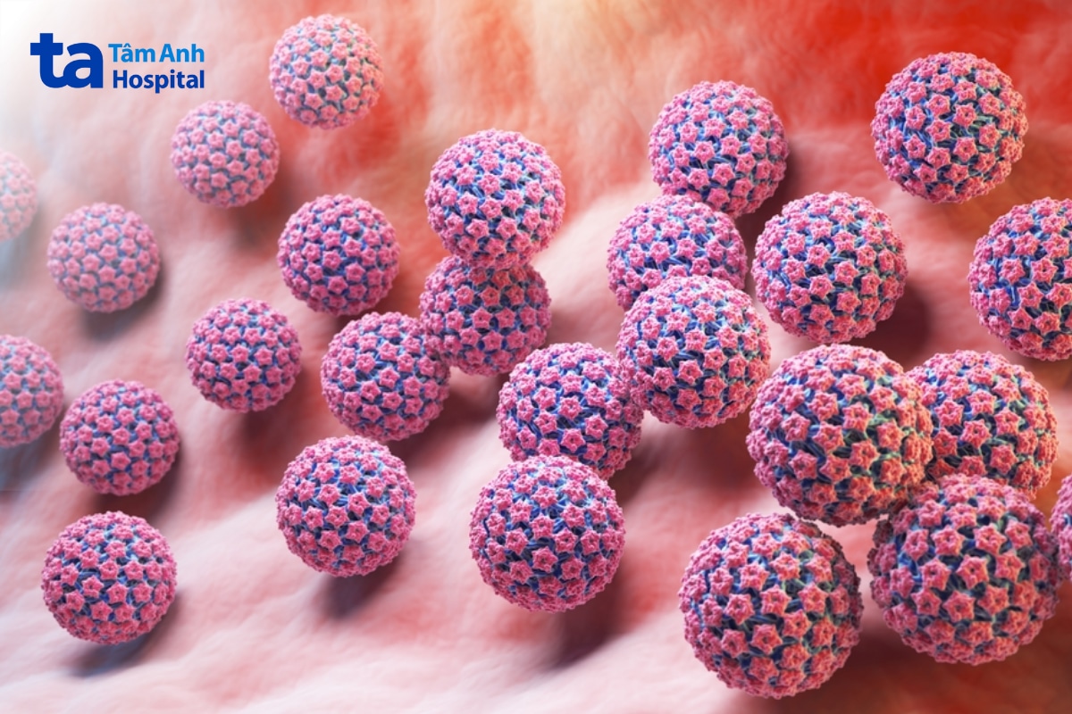Hình ảnh mô phỏng virus HPV trên bề mặt niêm mạc