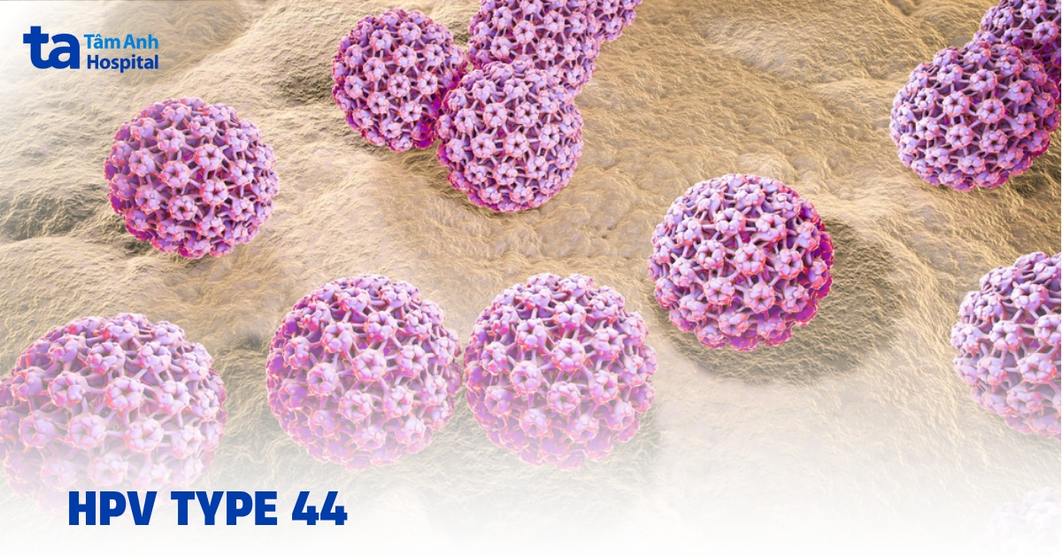 HPV type 44 thuộc nhóm nguy cơ nào? Gây bệnh gì?
