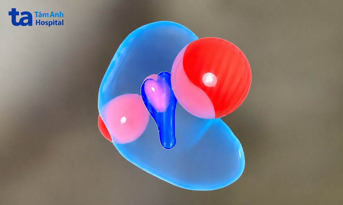 ảnh 3d buồng tử cung và các khối u xơ của chị mai