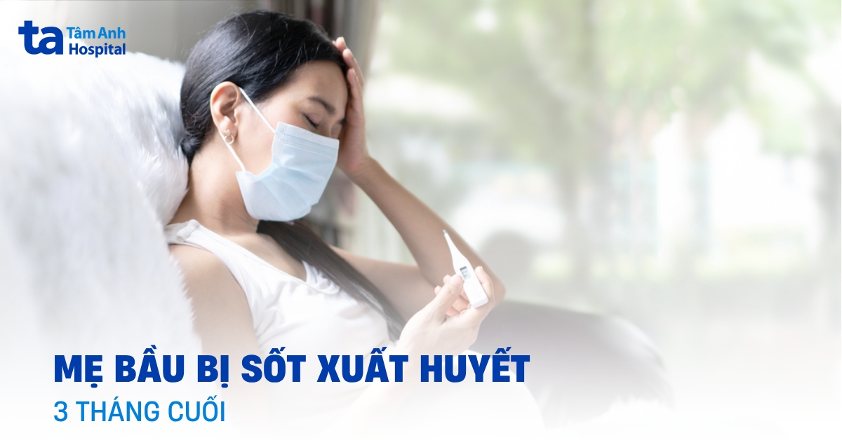 Bà bầu bị sốt xuất huyết 3 tháng cuối: Vì sao đặc biệt nguy hiểm?