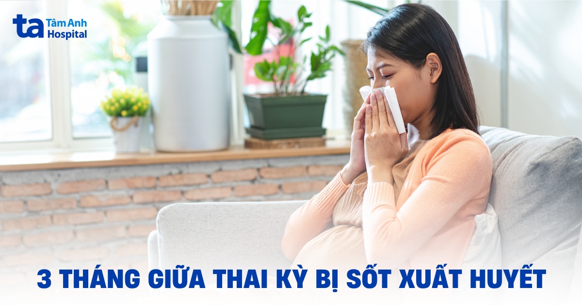 Bà bầu bị sốt xuất huyết 3 tháng giữa cần lưu tâm gì?