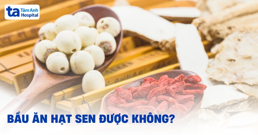 bầu ăn hạt sen được không