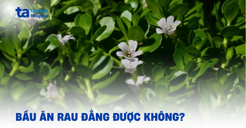 bầu ăn rau đắng được không