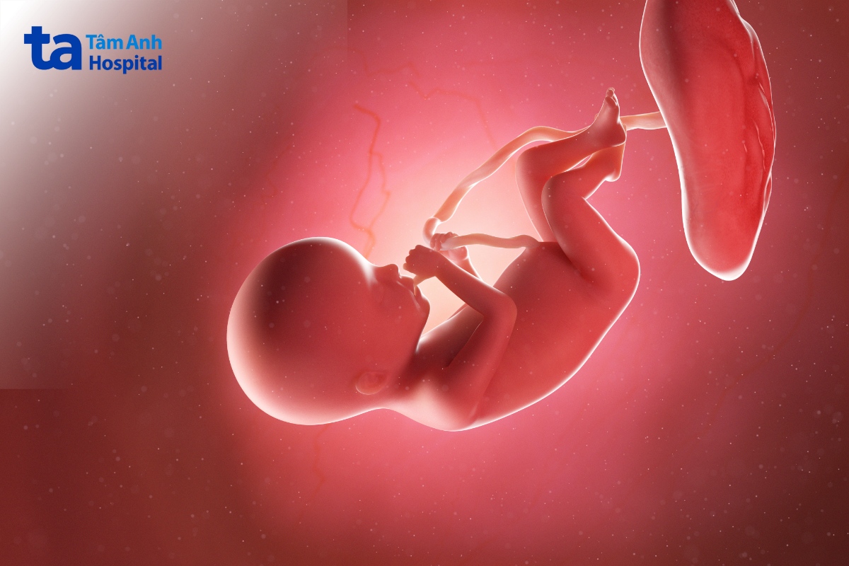bầu mắc sốt xuất huyết ảnh hưởng gián tiếp đến thai nhi
