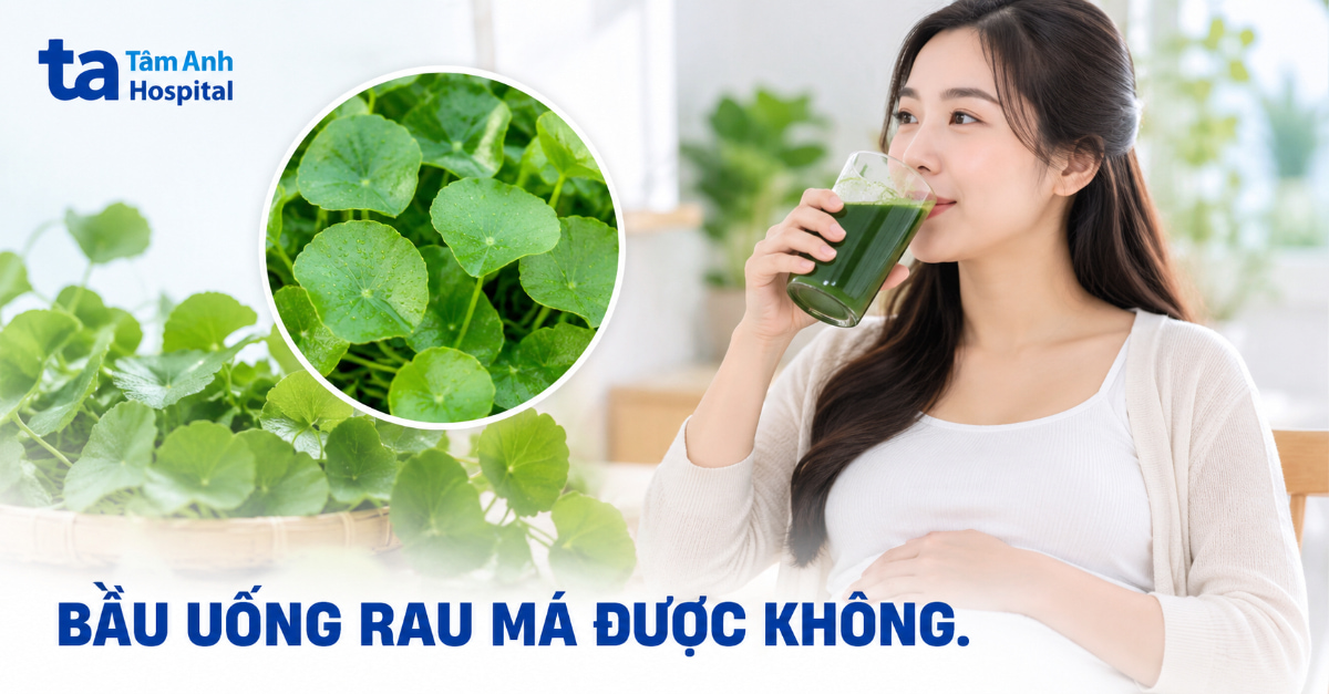 Bầu uống rau má được không? Có ảnh hưởng đến thai nhi không?