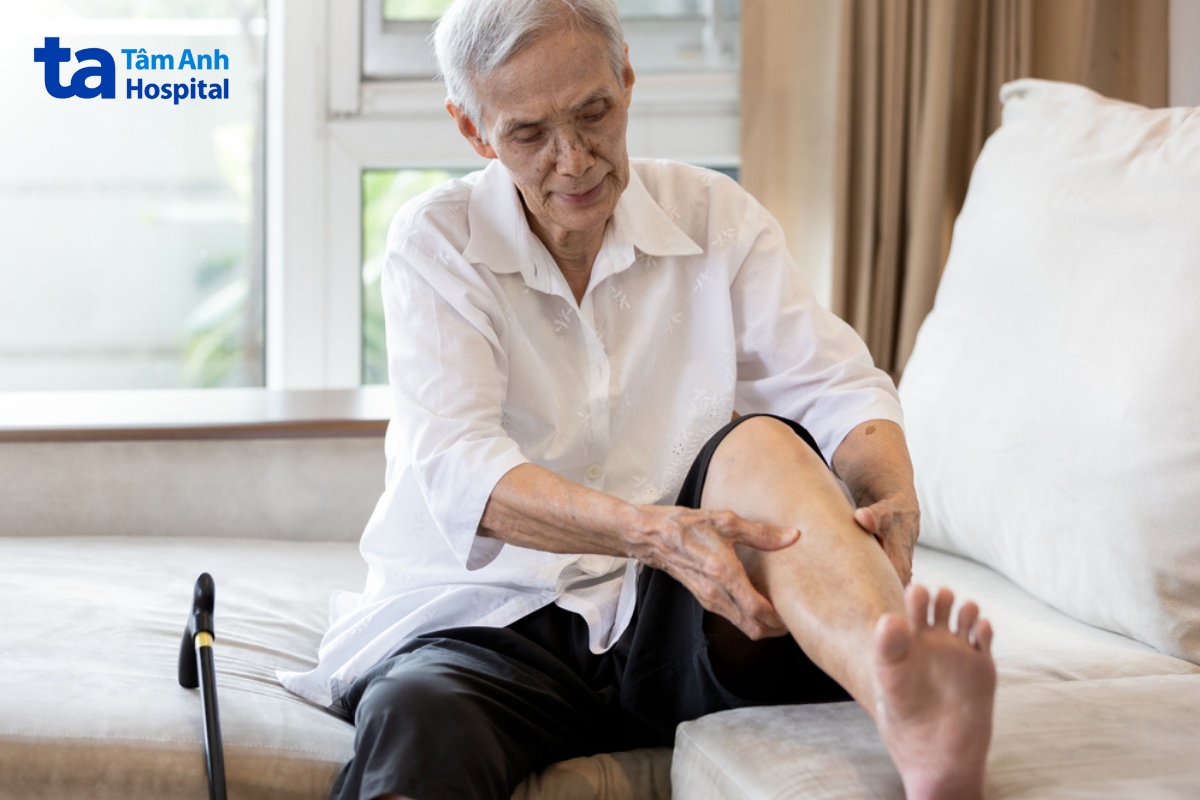 các bệnh lý động mạch
