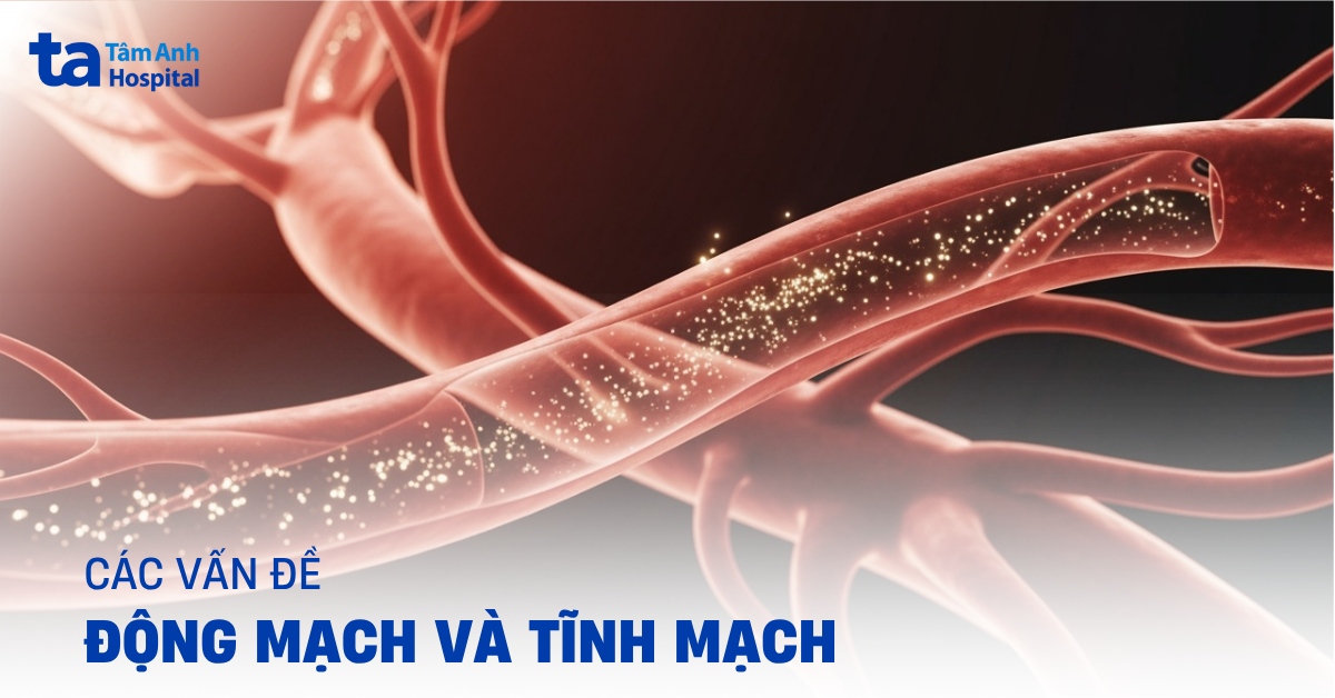 Các vấn đề động mạch và tĩnh mạch thường gặp