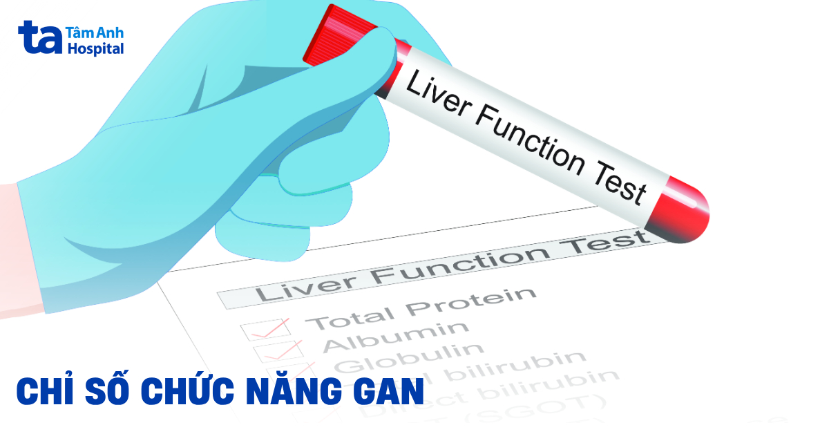 Các chỉ số chức năng gan: Ý nghĩa và mức bình thường