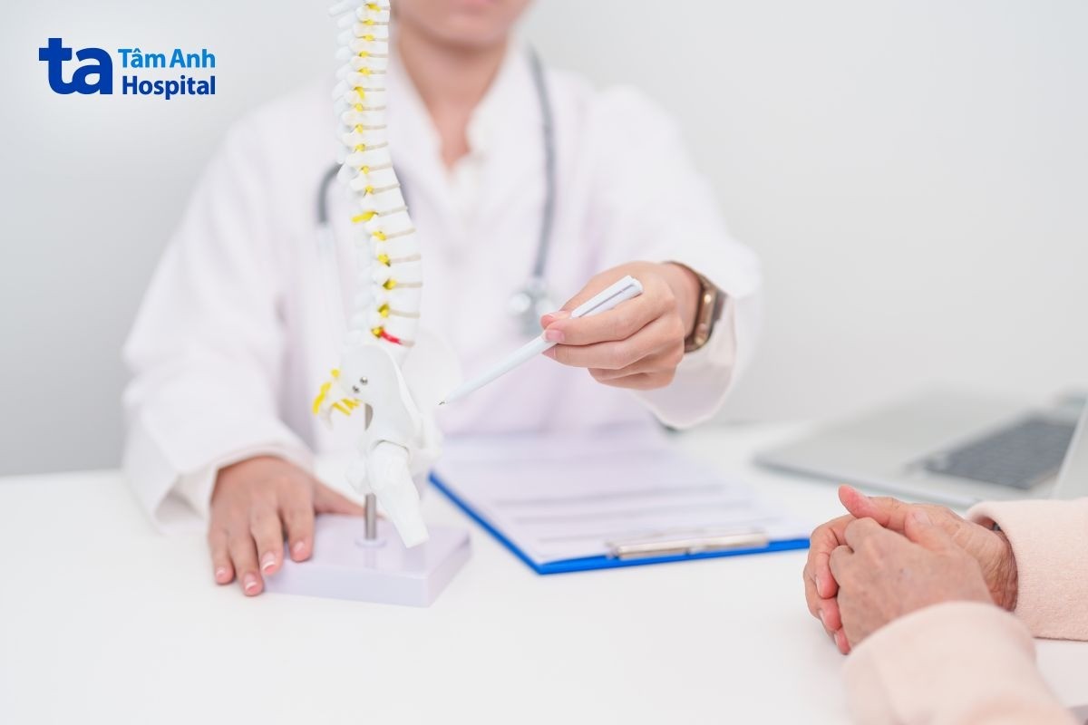 chiều dài thân đốt sống ngực