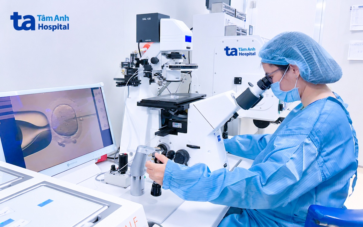 chuyên viên phôi học tiến hành tiêm tinh trùng vào bào tương noãn (icsi)