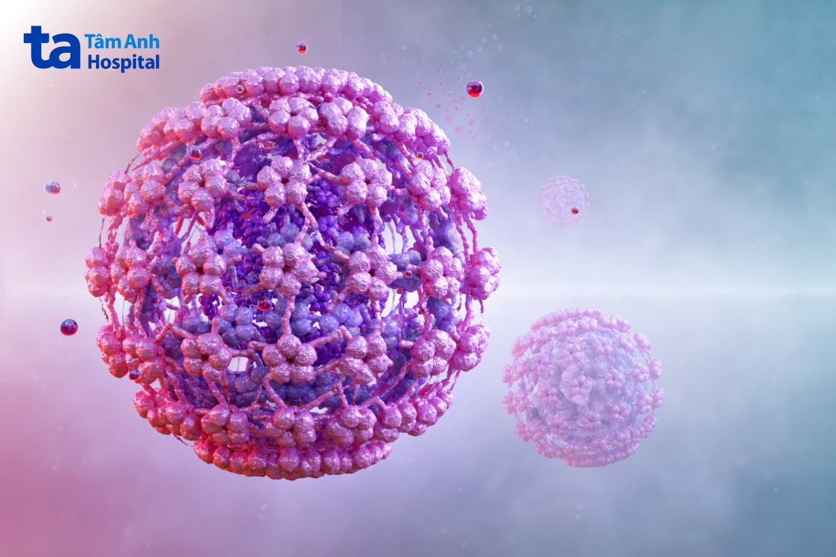 Hình mô phỏng các hạt virus HPV ở cấp độ vi mô.