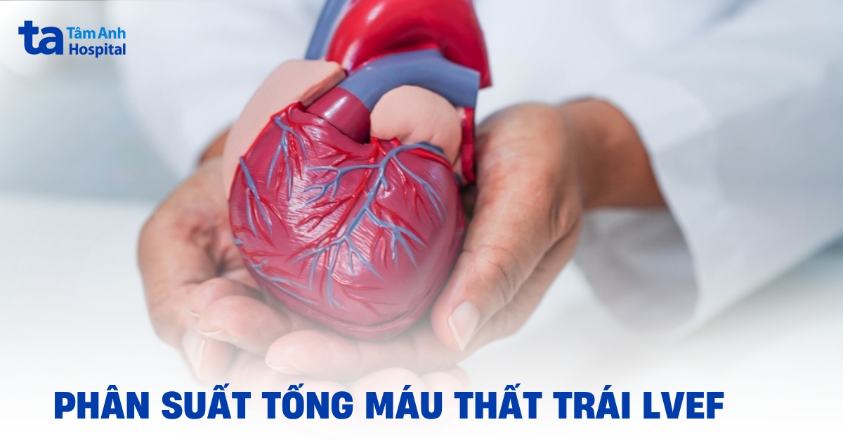 Phân suất tống máu thất trái LVEF: Ý nghĩa chỉ số