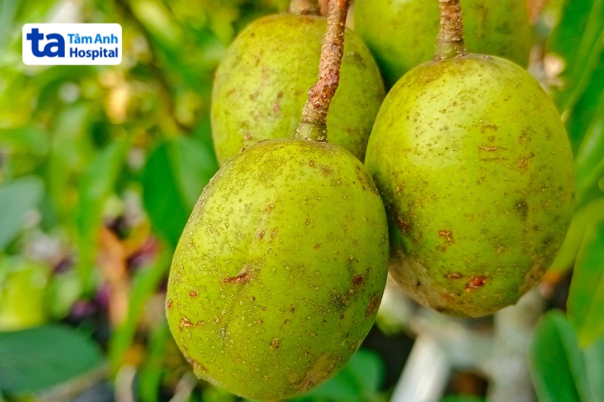 Quả cóc tươi có thể bổ sung vào chế độ ăn của bà bầu