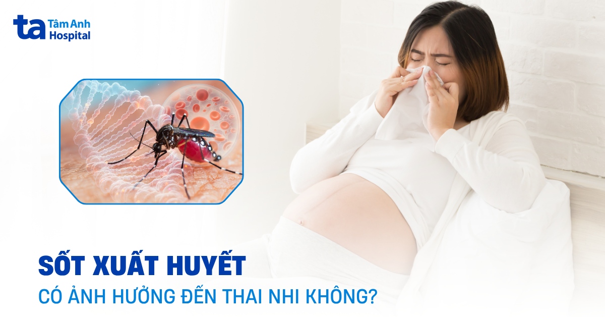 Thai Phụ Mắc Sốt Xuất Huyết Có Ảnh Hưởng Đến Thai Nhi Không? Sốt Xuất Huyết Có Ảnh Hưởng Đến Thai Nhi Không