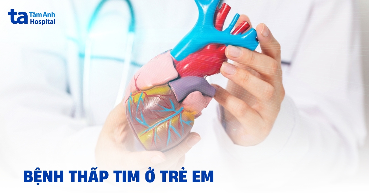 Hiểu đúng về bệnh thấp tim ở trẻ em để chăm sóc trẻ an toàn