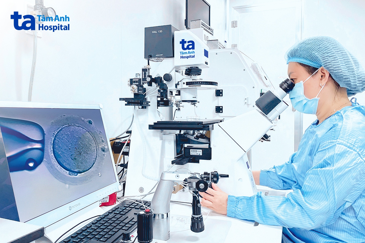 ths nguyễn ngọc quỳnh thực hiện kỹ thuật tiêm tinh trùng vào bào tương noãn