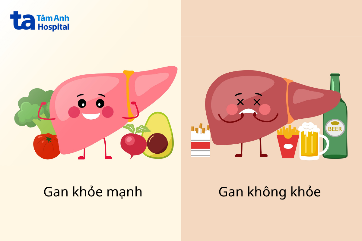 Xây Dựng Chế Độ Ăn Tốt Cho Gan