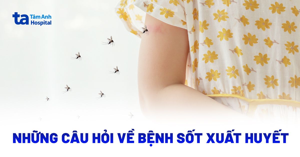 Câu Hỏi Về Sốt Xuất Huyết