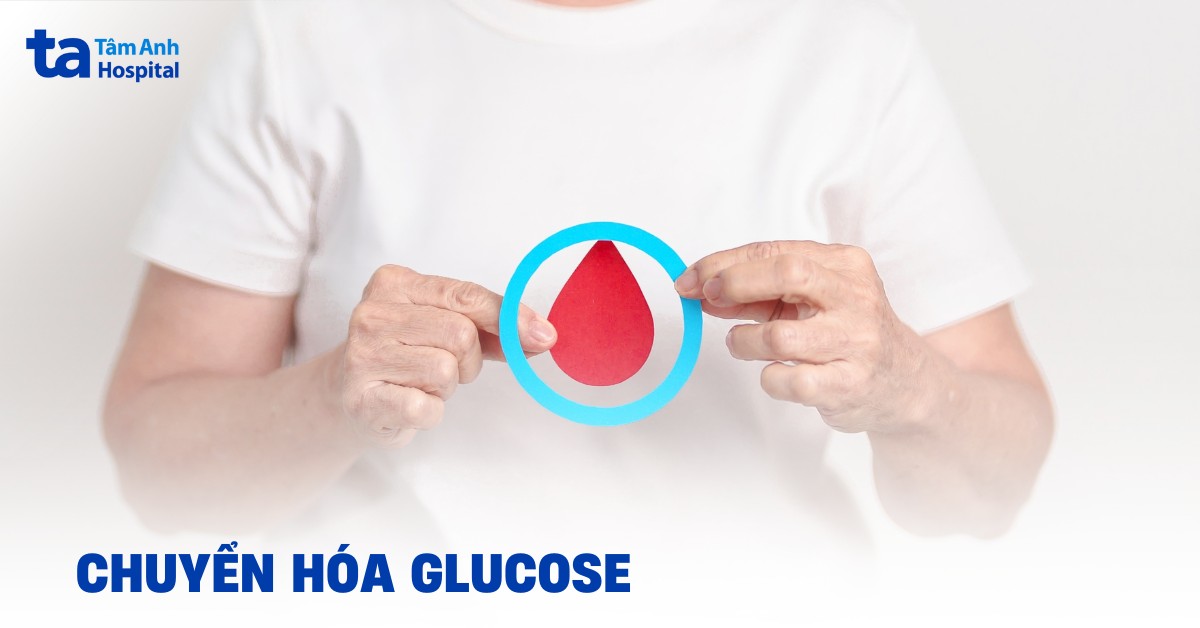 Chuyển Hóa Glucose