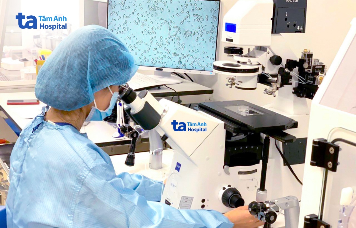 chuyên viên phôi học kiểm tra chất lượng tinh trùng