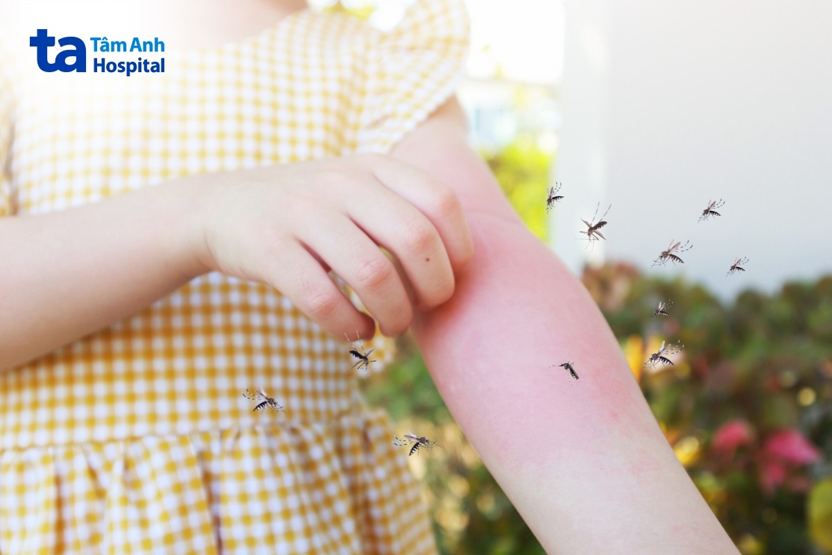 dengue virus tồn tại bao lâu