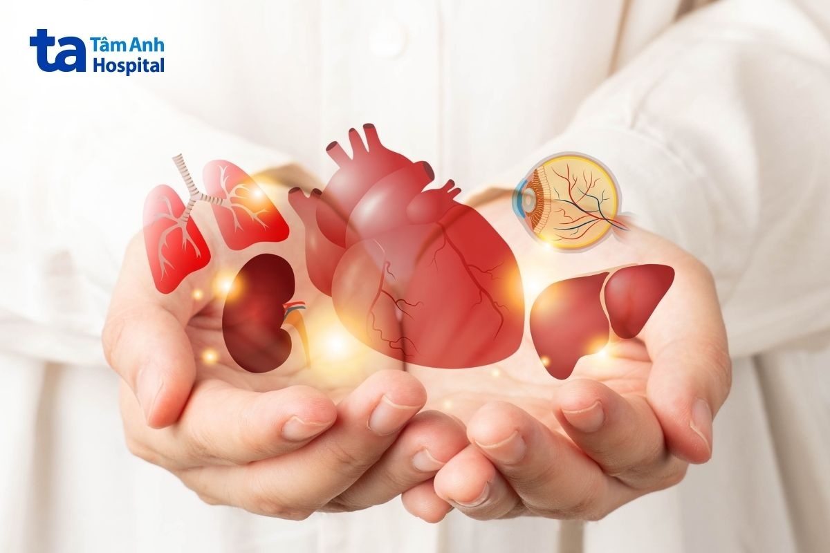 Người Cao Tuổi Muốn Hiến Tạng Cần Làm Gì