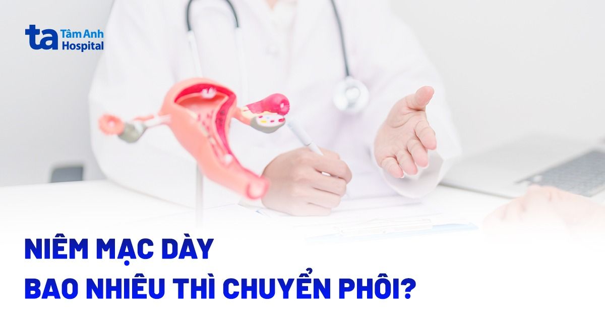 Niêm mạc dày bao nhiêu thì chuyển phôi? Cần chuẩn bị bao lâu?