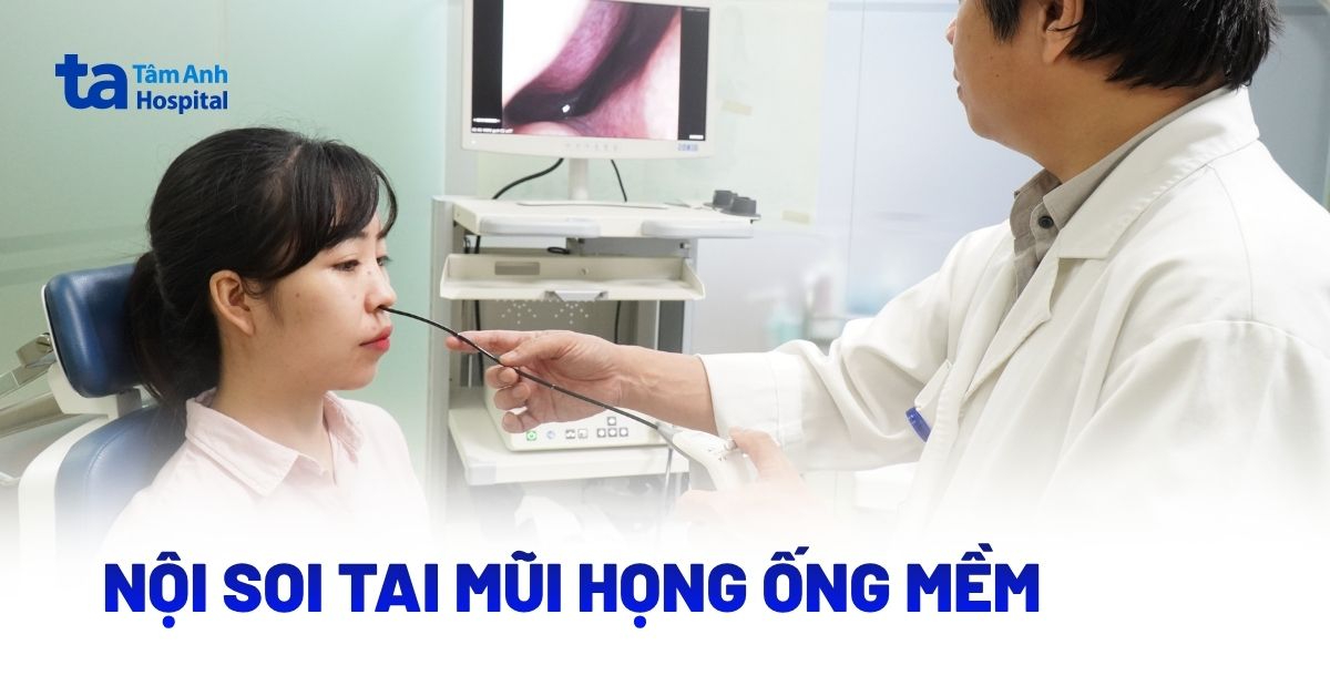Nội Soi Tai Mũi Họng Ống Mềm