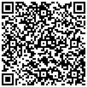 QR code 30.10