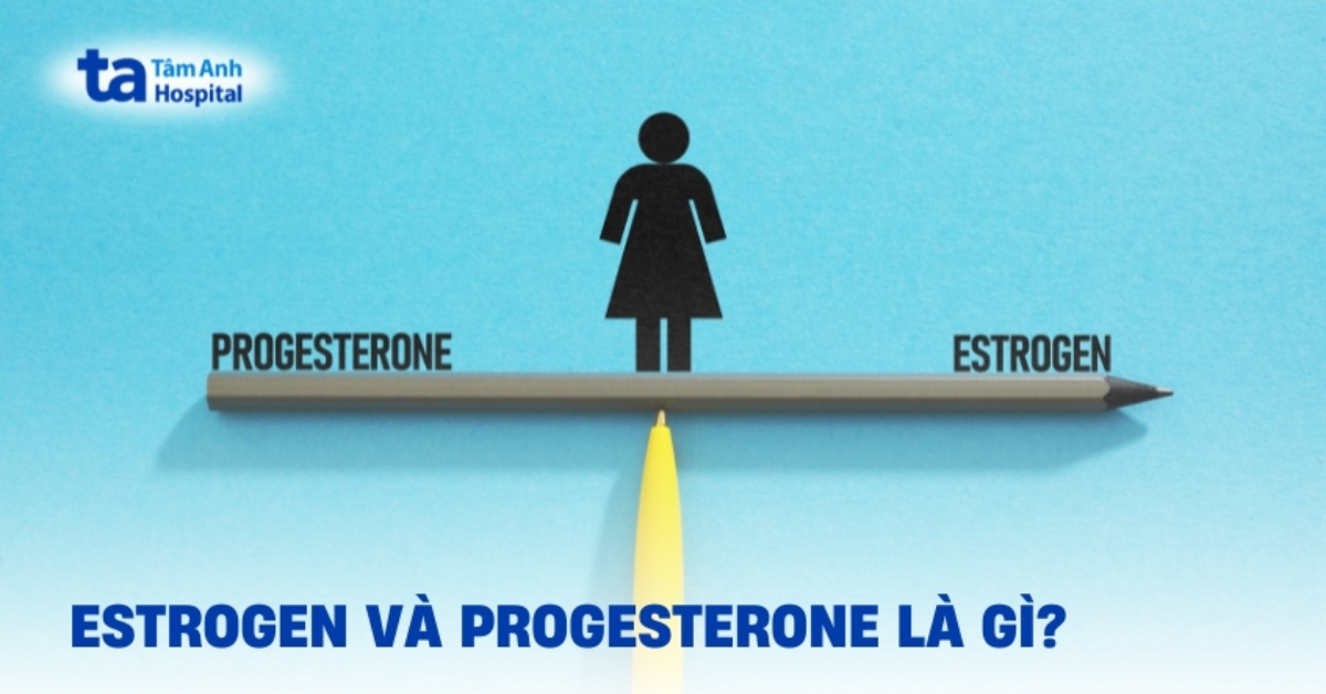 Estrogen và progesterone trong cơ thể: Sự khác biệt ra sao?