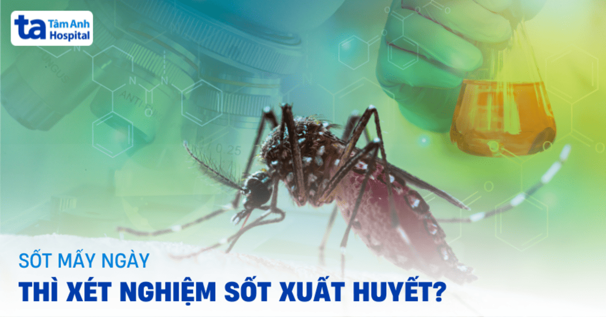 Sốt mấy ngày thì xét nghiệm sốt xuất huyết ra kết quả đúng?