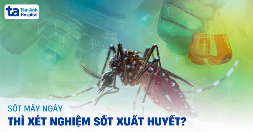 sốt mấy ngày thì xét nghiệm sốt xuất huyết