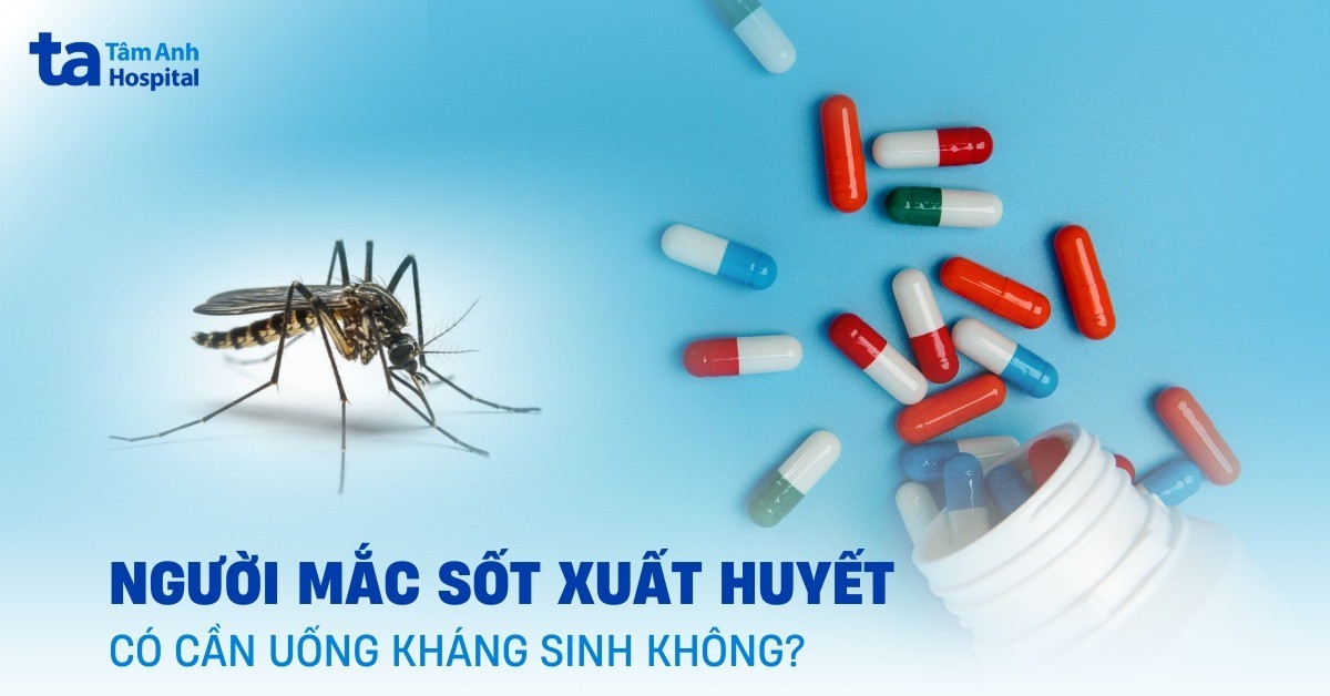Người bệnh sốt xuất huyết có được uống kháng sinh không?