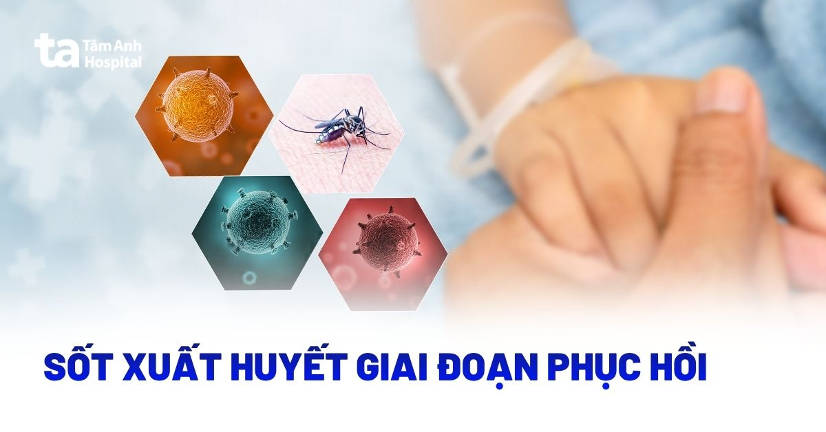 Sốt xuất huyết giai đoạn hồi phục (giai đoạn 3) là gì?