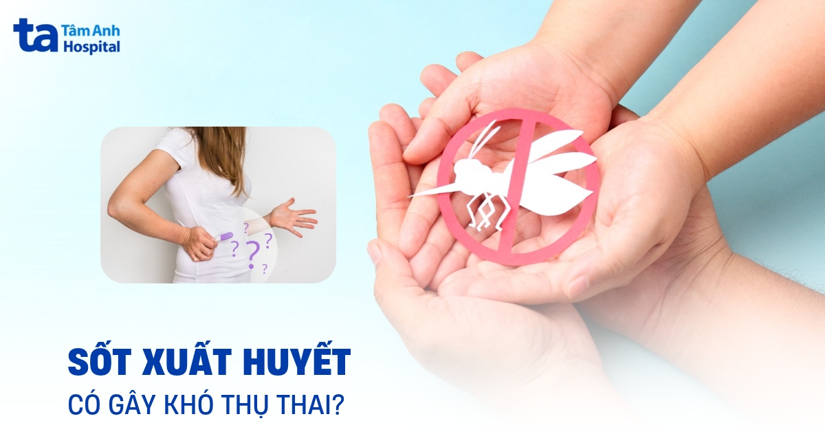 Người bị sốt xuất huyết khó thụ thai đúng hay không?