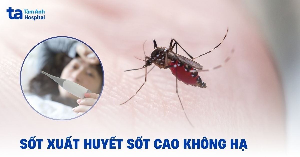 Sốt Xuất Huyết Sốt Cao Không Hạ
