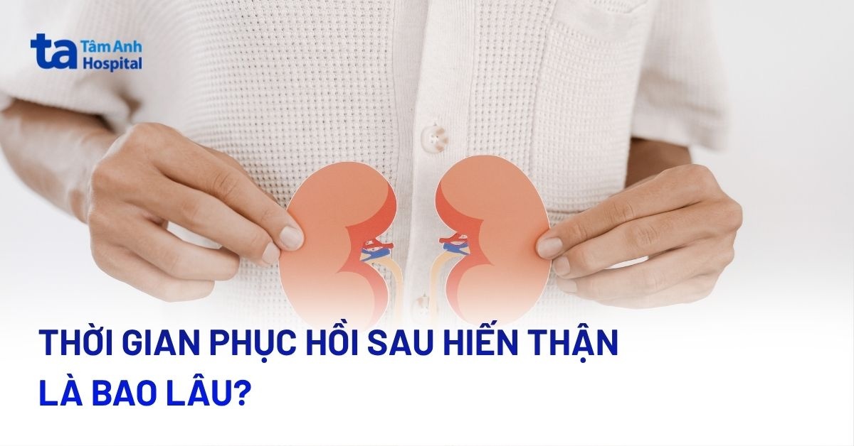 Thời Gian Hồi Phục Sau Khi Hiến Thận