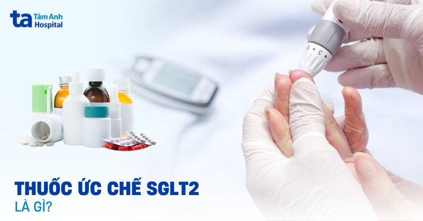 Thuốc ức chế SGLT2: Cơ chế, tác dụng, chỉ định và lưu ý dùng