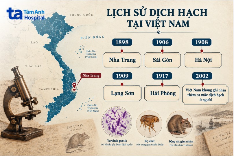 dịch hạch ở việt nam