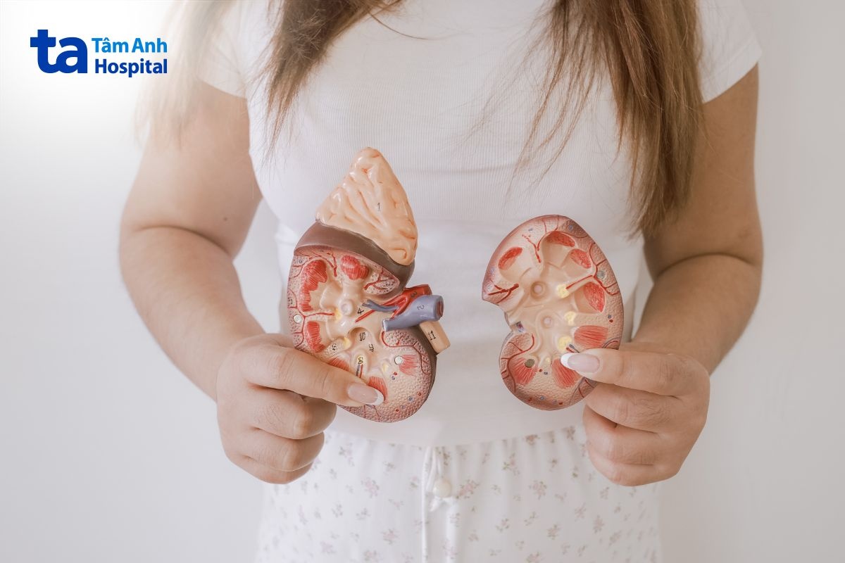 Tuổi Thọ Sau Ghép Tạng Ở Mỗi Người Bệnh Thường Không Giống Nhau