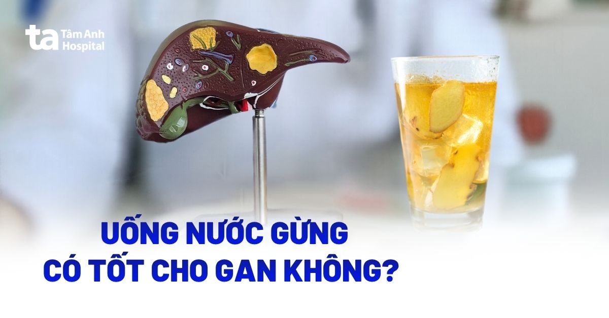Uống nước gừng có tốt cho gan không? Lợi ích, rủi ro và cách dùng