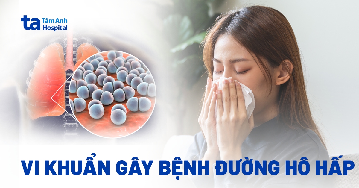 Vi khuẩn gây bệnh đường hô hấp ở người gồm những loại nào?