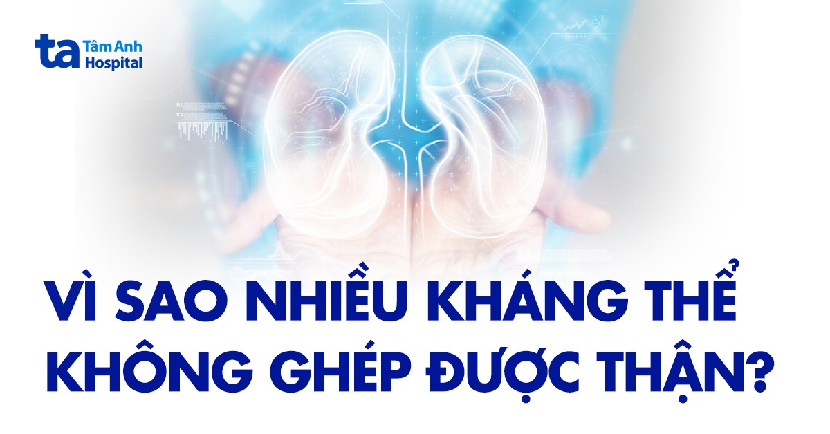 nhiều kháng thể không ghép thận được phải làm sao