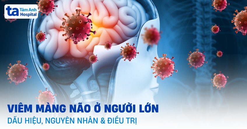 Viêm màng não ở người lớn có thường xảy ra không?