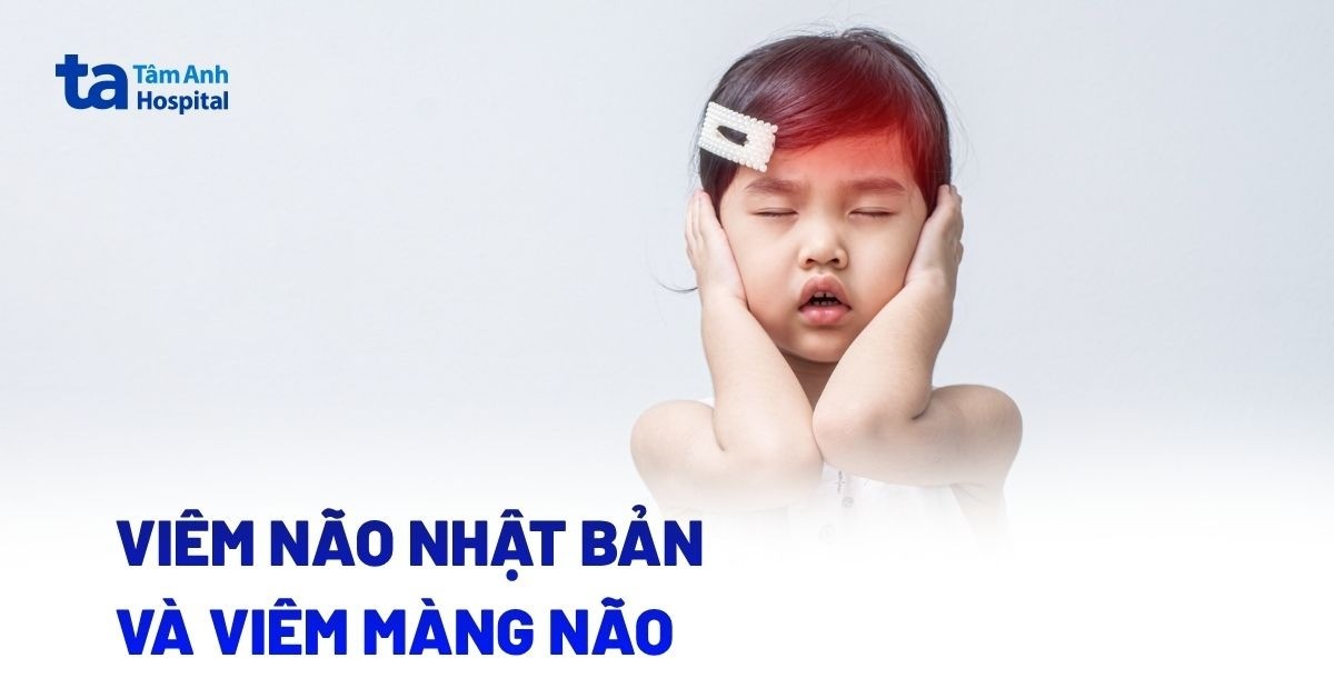 Viêm màng não và viêm não Nhật Bản có gì khác biệt?